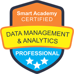 SLCP -  Data Analyst